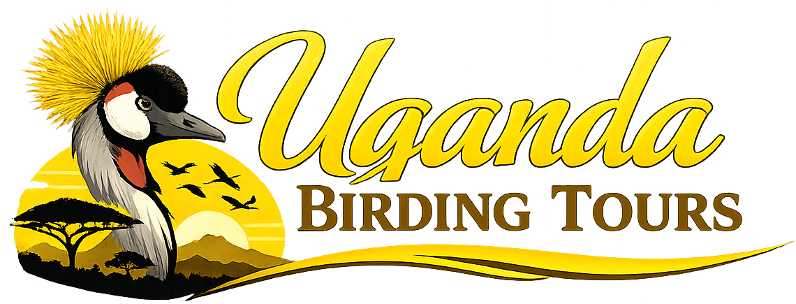 Uganda Birding Safaris