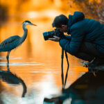 10-Day Birding Photography Safari Uganda