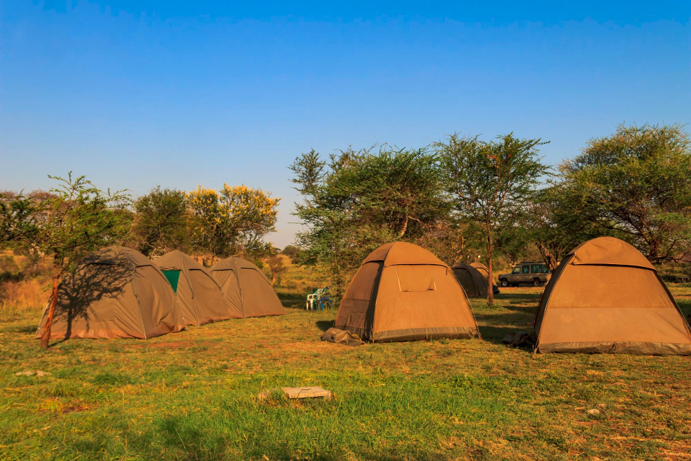Bird Watching Lodges Uganda