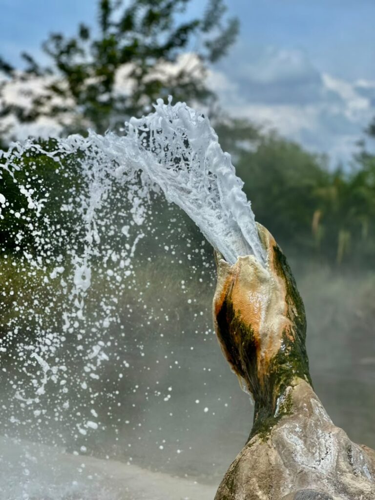 Semuliki National Park: Uganda’s Hidden Rainforest Paradise Worth Discovering