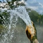 Semuliki National Park: Uganda's Hidden Rainforest Paradise Worth Discovering